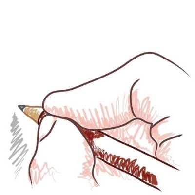 Drawing of a Hand